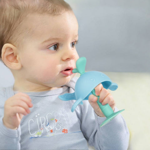 Silicone Baby Teething Toys